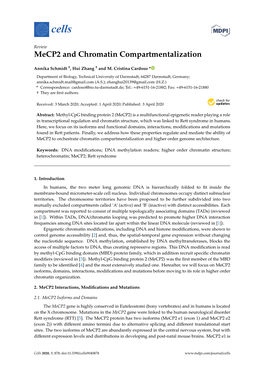 Mecp2 and Chromatin Compartmentalization