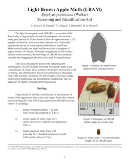 Light Brown Apple Moth (LBAM) Epiphyas Postvittana (Walker) Screening and Identiﬁcation Aid