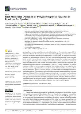 First Molecular Detection of Polychromophilus Parasites in Brazilian Bat Species