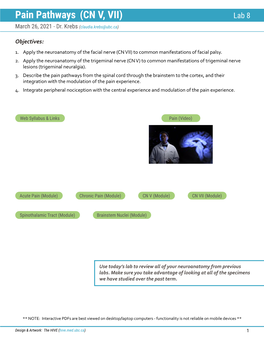 Pain Pathways (CN V, VII) Lab 8 March 26, 2021 - Dr