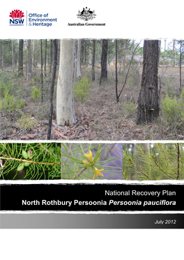 Persoonia Pauciflora