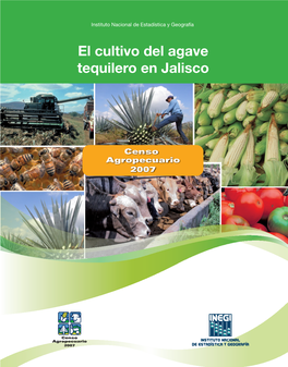 El Cultivo Del Agave Tequilero En Jalisco. Censo Agropecuario 2007