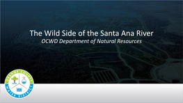 The Wild Side of the Santa Ana River OCWD Department of Natural Resources Outline