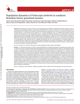 Population Dynamics of Podocarpus Lambertii in Southern Brazilian Forest