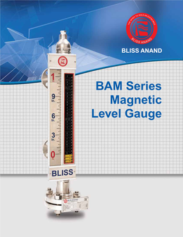 BAM Series Magnetic Level Gauge