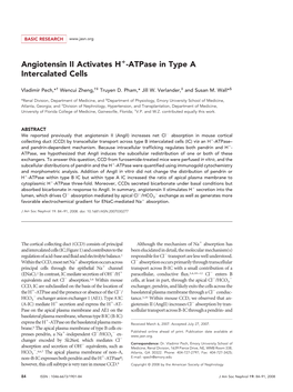 Angiotensin II Activates H -Atpase in Type a Intercalated Cells