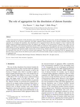 The Role of Aggregation for the Dissolution of Diatom Frustules