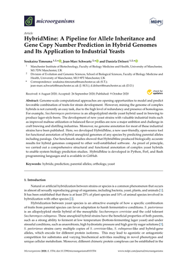 Hybridmine: a Pipeline for Allele Inheritance and Gene Copy Number Prediction in Hybrid Genomes and Its Application to Industrial Yeasts