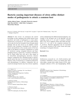 Bacteria Causing Important Diseases of Citrus Utilise Distinct Modes of Pathogenesis to Attack a Common Host