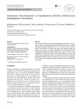 Immature Development of Spodoptera Dolichos (Fabricius) (Lepidoptera: Noctuidae)