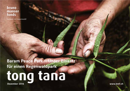 Tong Tana Dezember 2016 Kayan Und Penan Überflutet