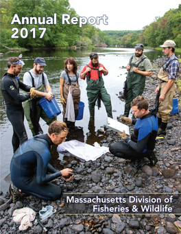 Annual Report 2017