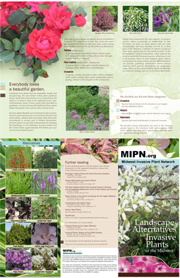 Landscape Alternatives to Invasive Plants