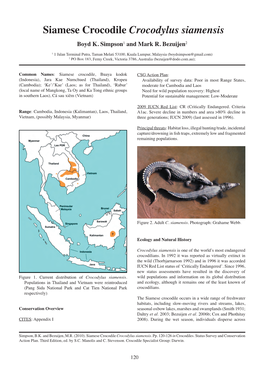 Siamese Crocodile Crocodylus Siamensis Boyd K