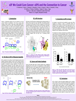 II. the Role of Eif6 in Ribosome Assembly III. Eif6 Structure V