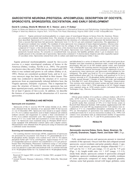 Sarcocystis Neurona (Protozoa: Apicomplexa): Description of Oocysts, Sporocysts, Sporozoites, Excystation, and Early Development