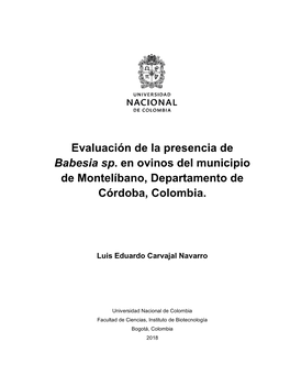 Evaluación De La Presencia De Babesia Sp. En Ovinos Del Municipio De Montelíbano, Departamento De Córdoba, Colombia
