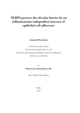 NLRP3 Protects the Alveolar Barrier by an Inflammasome-Independent Increase of Epithelial Cell Adherence