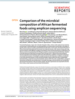 Comparison of the Microbial Composition of African Fermented