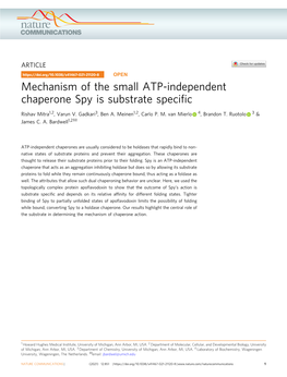 Mechanism of the Small ATP-Independent Chaperone Spy Is Substrate Speciﬁc