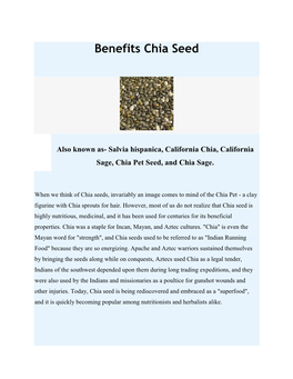 Benefits Chia Seed