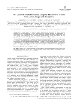 The Cucurbits of Mediterranean Antiquity: Identification of Taxa From