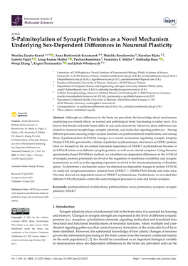 S-Palmitoylation of Synaptic Proteins As a Novel Mechanism Underlying Sex-Dependent Differences in Neuronal Plasticity