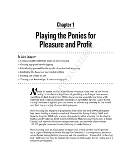 Playing the Ponies for Pleasure and Profit