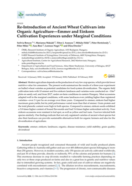 Re-Introduction of Ancient Wheat Cultivars Into Organic Agriculture—Emmer and Einkorn Cultivation Experiences Under Marginal Conditions