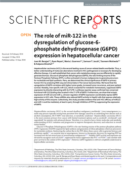 The Role of Mir-122 in the Dysregulation of Glucose-6