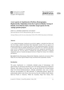 Zootaxa: a New Species of Amphimedon (Porifera