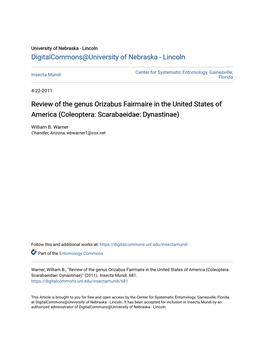 Review of the Genus Orizabus Fairmaire in the United States of America (Coleoptera: Scarabaeidae: Dynastinae)