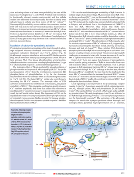 Modulation of Calcium by Sympathetic Activation