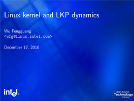 Linux Kernel and LKP Dynamics