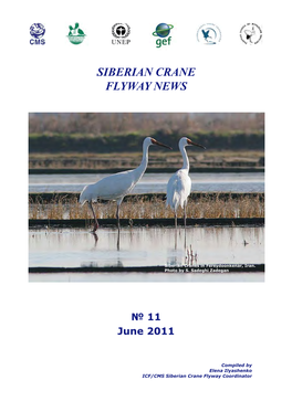 Siberian Crane Flyway News