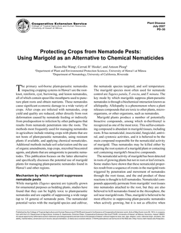Protecting Crops from Nematode Pests: Using Marigold As an Alternative to Chemical Nematicides