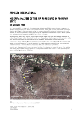 Amnesty International Nigeria: Analysis of the Air Force Raid in Adamawa State