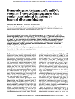 Homeotic Gene Antennapedia Mrna Contains 5'-Noncoding Sequences That Confer Translational Initiation by Internal Ribosome Binding