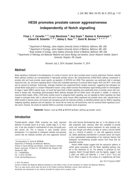 HES6 Promotes Prostate Cancer Aggressiveness Independently of Notch Signalling