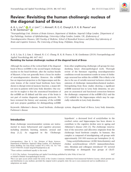 Revisiting the Human Cholinergic Nucleus of the Diagonal Band of Broca