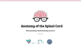 Anatomy of the Spinal Cord