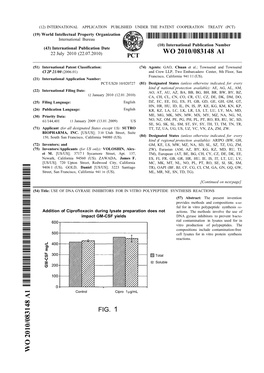 WO 2010/083148 Al