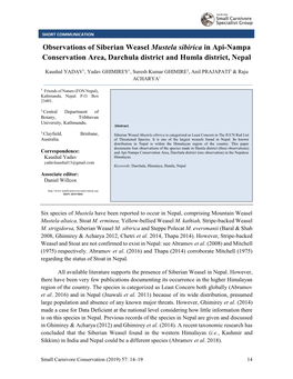 Observations of Siberian Weasel Mustela Sibirica in Api-Nampa Conservation Area, Darchula District and Humla District, Nepal