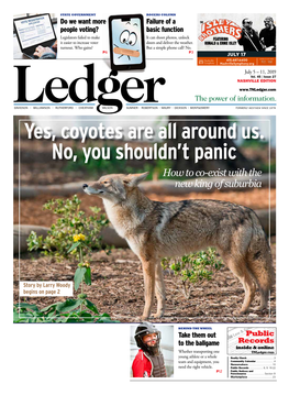Yes, Coyotes Are All Around Us. No, You Shouldn't Panic