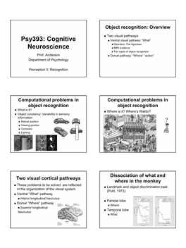 Psy393: Cognitive „ Ventral Visual Pathway: “What” „ Disorders: the Agnosias Neuroscience „ Fmri Evidence „ Two Types of Object Recognition Prof