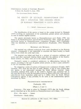 The Identity of So-Called Paramphistomum Cervi and P. Explanatum, Two Common Species of Ruminant Trematodes in South .Africa