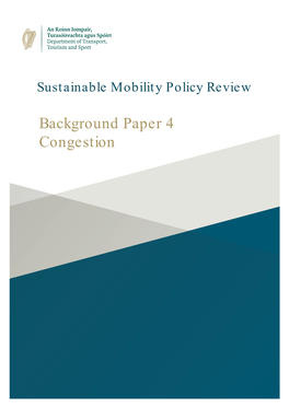 Background Paper 4 Congestion