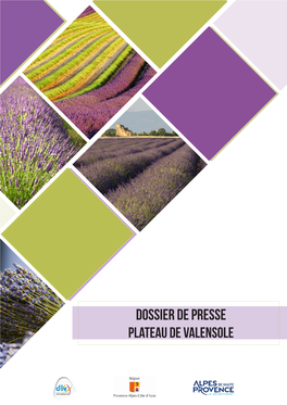 Dossier De Presse Plateau De Valensole