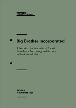 Big Brother Incorporated