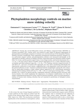 Phytoplankton Morphology Controls on Marine Snow Sinking Velocity